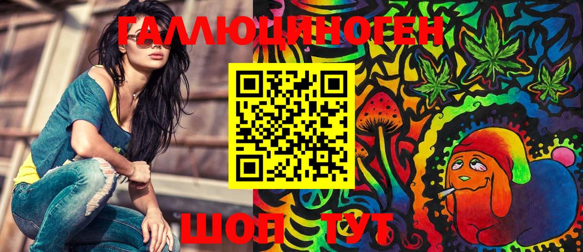 Галлюциногенные грибы Psilocybe Горячий Ключ