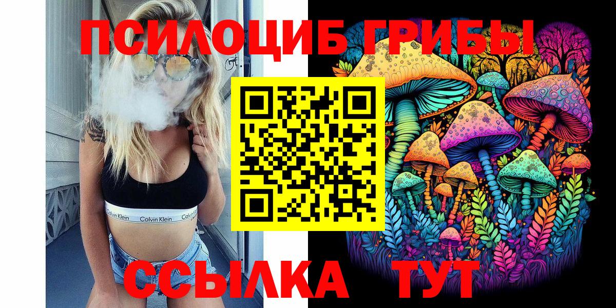 Горячий Ключ  как найти   Вход с VPN  Галлюциногенные грибы Cubensis 
